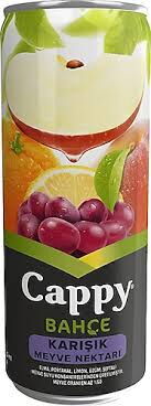 Cappy Karışık 330 ml X 12 Adet