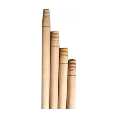 Gürgen Sap 120 cm X 1 Adet