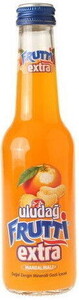 Uludağ Frutti Extra Mandalina 250 ml X 24 Adet #1